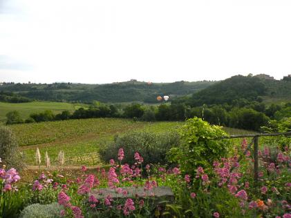 ballon in the vineyards