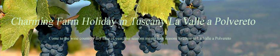 charming farm holiday in tuscany la valle a polvereto